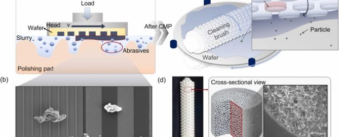 Contamination Control in Polishing Templates