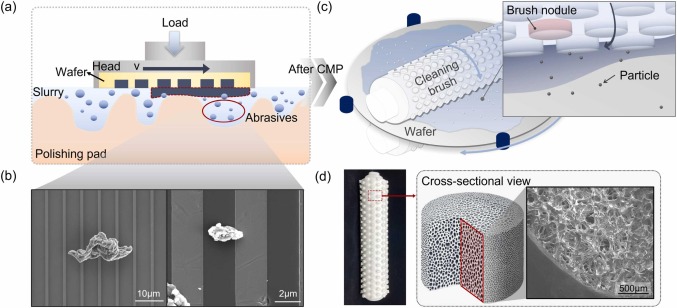 Contamination Control in Polishing Templates